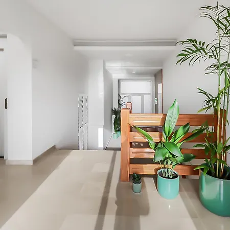 Apartment Agaete Shine *