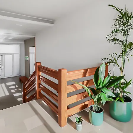 Apartment Agaete Shine Agaete (Gran Canaria)